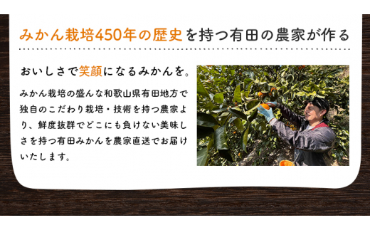 有田育ちのご家庭用完熟 有田みかん 2.2kg ※2024年11月上旬〜12月下旬頃に順次発送【ard201】