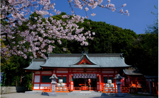 新宮市 ガイドと歩く歴史探訪ツアー 選べる史跡・神社2カ所巡り / 熊野 世界遺産 天然記念物 自然 神社 【skk006】