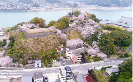 新宮市　ガイドと歩く歴史探訪ツアー　選べる史跡・神社など1カ所 / 熊野 世界遺産 天然記念物 自然 神社 【skk004】