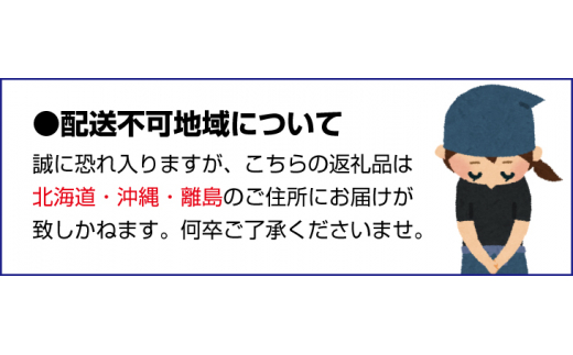 ミニトマト アイコ (松トマト） 約2kg（S・M・Lサイズおまかせ）【4月発送】【sml131-4】