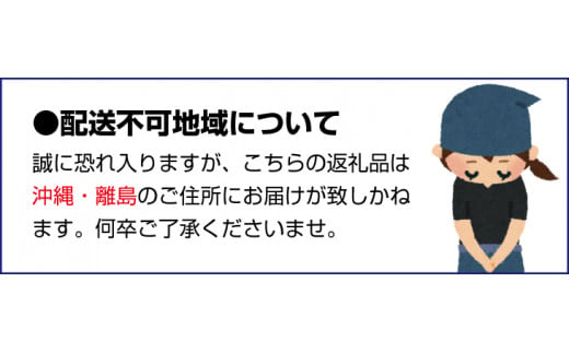 【先行予約】【家庭用 訳あり】紀州有田産 濃厚完熟 温州みかん 2kg  ※2024年11月下旬頃～2025年1月下旬頃に順次発送予定 / みかん ミカン 蜜柑 温州みかん 柑橘 フルーツ 果物 くだもの 和歌山【uot836】