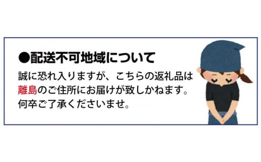 【全3回】紀州和歌山産旬のフルーツセット(巨峰・ひらたね・みかん)  / 果物定期便 フルーツ定期便 みかん オレンジ 柑橘 くだもの 果物 かき カキ ぶどう 巨峰 【tkb397】