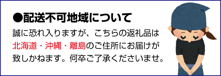 【先行予約】有田育ちの濃厚柑橘詰め合わせセット(ご家庭用)　約2.5kg【１月中旬〜4月下旬頃順次発送】【ard033A】