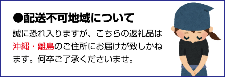 【全3回】夏と秋を味わうフルーツ定期便 (桃・マスカット・柿)【tkb370】