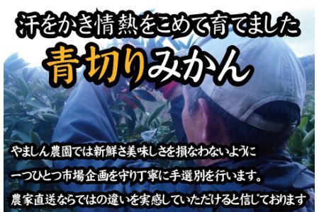 【2024年秋頃発送予約分】【農家直送】こだわりの青切りみかん 約10kg  有機質肥料100%　 サイズ混合　※2024年9月下旬より順次発送予定（お届け日指定不可）【nuk108B】