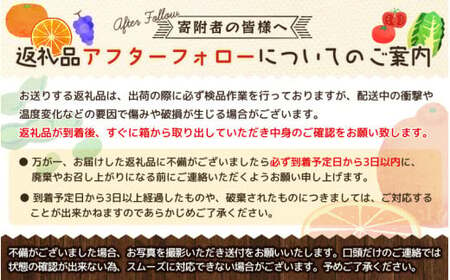 【2024年秋頃発送予約分】【農家直送】こだわりの青切りみかん 約10kg  有機質肥料100%　 サイズ混合　※2024年9月下旬より順次発送予定（お届け日指定不可）【nuk108B】