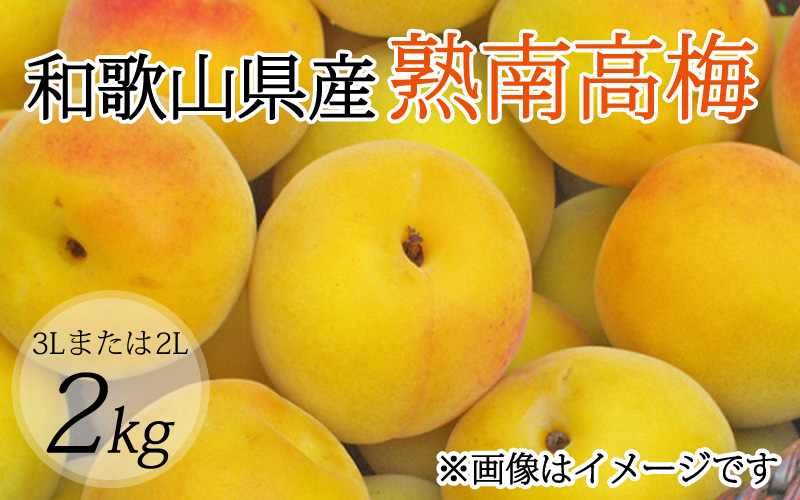 【梅干・梅酒用】（3Lまたは2L－2Kg）熟南高梅＜2025年6月上旬～7月上旬ごろに順次発送予定＞ / 梅 青梅 梅干 梅干し 大容量 梅酒 お酒【art008A】