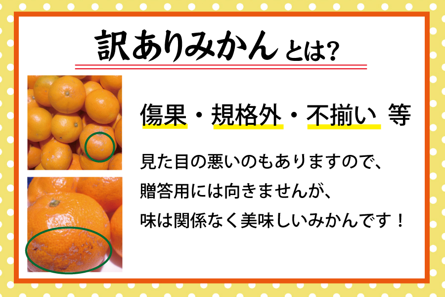 【訳あり】農家直送 有田みかん 約7.5kg ご家庭用 サイズ混合 ※2024年11月中旬から2025年1月中旬までに順次発送予定（お届け日指定不可）※北海道・沖縄・離島への配送不可【nuk157A】