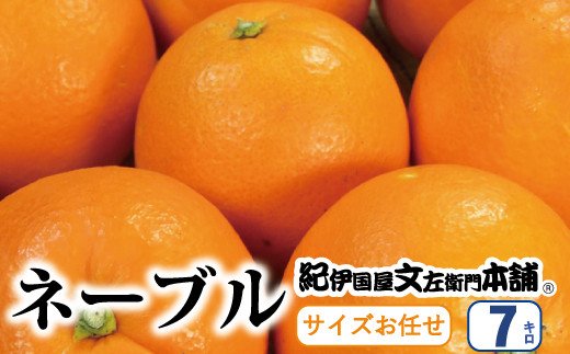 ネーブル 約7kg/サイズおまかせ　※2024年1月中旬〜2月上旬頃に順次発送予定(お届け日指定不可)　紀伊国屋文左衛門本舗【sgtb430】