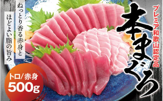 【期間限定 特別寄付額】本マグロ（養殖）トロ＆赤身セット 500g  【6月発送】高級 クロマグロ  中トロ 中とろ まぐろ マグロ 鮪 刺身 赤身 柵 じゃばらまぐろ 本マグロ 本鮪 【nks110B_cp-6】