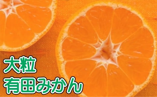 【果汁たっぷり】迫力満点！ 大粒 有田みかん 10kg【2024年11月中旬〜12月下旬頃に順次発送予定】【ard055B】