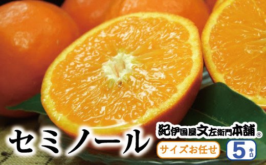 セミノールオレンジ 約5kg / サイズおまかせ　※2024年4月中旬〜5月下旬頃に順次発送予定(お届け日指定不可)　紀伊国屋文左衛門本舗　【sgtb481】