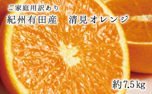 【ご家庭用訳アリ】紀州有田産 清見オレンジ 7.5kg  ※2025年3月下旬〜2025年4月中旬頃に順次発送予定(お届け日指定不可) / オレンジ みかん ミカン 蜜柑 柑橘 フルーツ 果物 くだもの 和歌山【uot730】