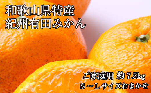 [ご家庭用]有田みかん約7.5kg(サイズ混合)【2024年11月中旬〜2025年1月中旬頃に順次発送予定】【tec884A】