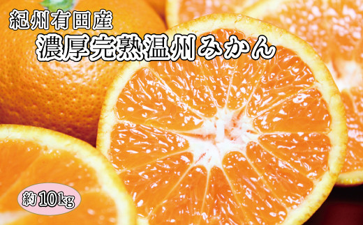 完熟有田みかん　10kg　※2024年11月下旬頃〜2025年1月下旬頃に順次発送予定(お届け日指定不可)【uot705】