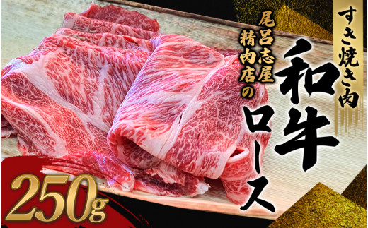 尾呂志屋精肉店の和牛ロース すき焼き用 250g 【1か月以内に順次発送】 /  和牛 すきやき すき焼き 牛肉 牛 精肉 【ors008】