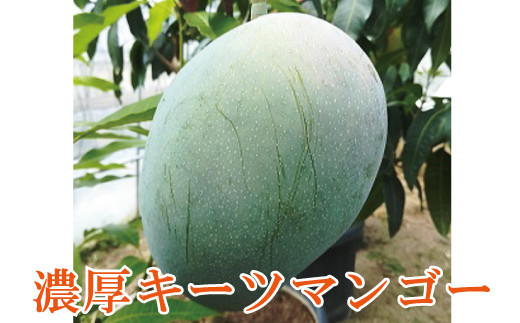 【希少マンゴー】濃厚キーツマンゴー　約1kg(1〜2玉)【ard042B】
