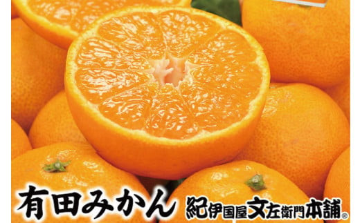 ブランド有田みかん【S】秀品10kg ／産地直送／薄皮で甘い美味しい和歌山県産／紀伊国屋文左衛門本舗　※2024年11月上旬〜2025年1月中旬ごろ発送（お届け日指定不可）【sgtb143A】