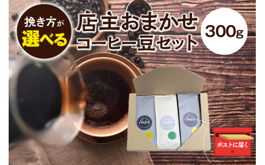 【中挽き】店主おまかせ 挽き立てコーヒー豆3種類セット(100g×3種類）【hgo003-b】