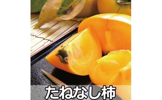 【 県認定エコファーマー】タネなし脱渋甘柿（刀根早生）　Ｌサイズ36個入7.5kg箱【art001A】