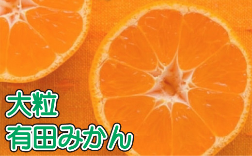  【果汁たっぷり】迫力満点！ 大粒 有田みかん 5kg【2024年11月中旬〜12月下旬順次発送予定】【ard054B】