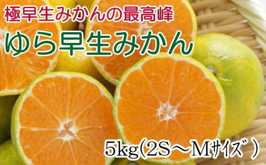 【極早生みかんの逸品】有田産ゆら早生みかん 約5kg※2024年10月中旬より順次発送【tec801】