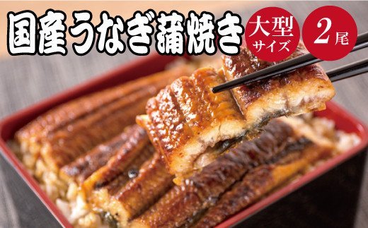 【大型サイズ】ふっくら柔らか 国産うなぎ蒲焼き 2尾/うなぎ ウナギ 鰻 うなぎ蒲焼 国産【uot302-3】