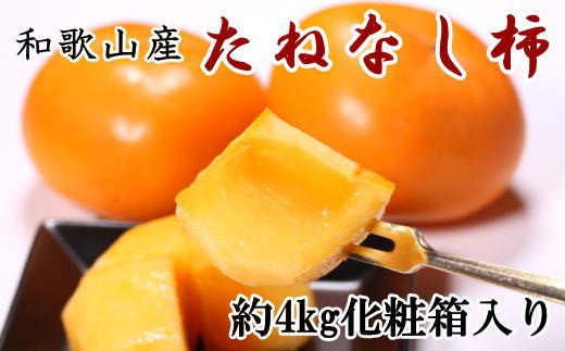 【秋の味覚】和歌山産のたねなし柿2L〜4Lサイズ約4kg（化粧箱入り）※2024年10月上旬〜2024年11月上旬頃順次発送【tec409】