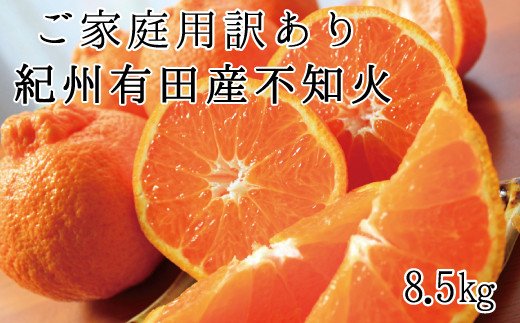 【ご家庭用】紀州有田産 不知火(しらぬひ) 約8.5kg 【予約】 訳あり ※2025年2月中旬頃〜3月上旬頃に順次発送予定(お届け日指定不可) 不知火 みかん ミカン 柑橘 果物 フルーツ【uot507】