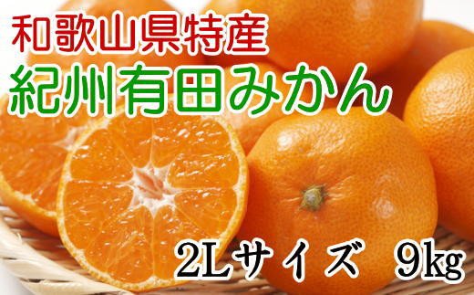 [秀品]和歌山有田みかん　9kg(2Lサイズ) ※2024年11月中旬〜1月中旬頃順次発送【tec831】