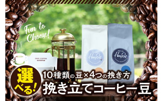 【細挽き】（ブレンド3+タンザニア2）挽き立てコーヒー豆 750gセット コーヒー豆 焙煎 コーヒー【hgo001-a-11】