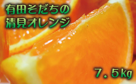 【2025年2月下旬〜3月下旬順次発送予定】有田育ちの完熟清見オレンジ(ご家庭用)　約7.5kg【ard018A】