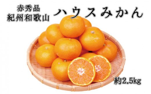 赤秀品　紀州和歌山ハウスみかん2.5kg【予約】※2025年6月下旬〜7月中旬頃に順次発送予定(お届け日指定不可)【uot735A】