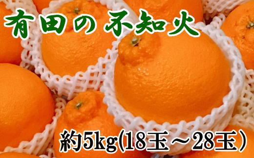 【濃厚】有田の不知火約5kg（18玉〜28玉おまかせ） ※2025年2月中旬〜2025年3月上旬頃に順次発送予定（日付指定不可） 【tec860】