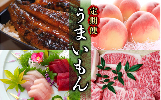 【新宮市】全6回 うまいもん定期便 / うなぎ 鰻 ウナギ 国産 和牛 牛肉 サーロイン ステーキ 肉 牛肉 熊野牛 冷凍 もも モモ 桃 まぐろ マグロ 鮪 天然 サブレ ドーナッツ 洋菓子 産直 特産品 ご当地 人気【tkb139】