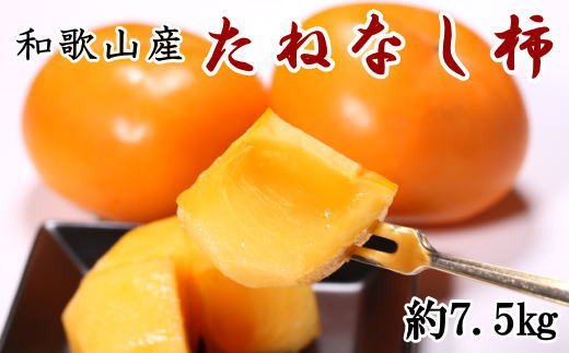 【秋の味覚】和歌山産のたねなし柿約7.5kg(L〜4Lサイズおまかせ)※2024年10月上旬〜11月上旬頃順次発送【tec402A】