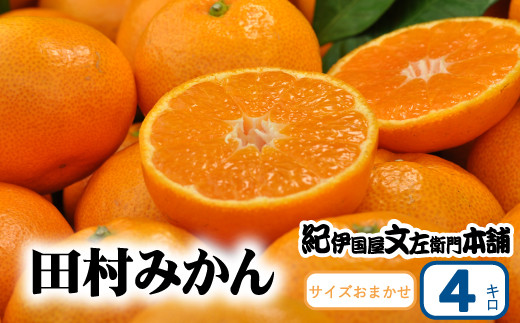 田村みかん 秀品 4kg サイズおまかせ/紀州和歌山有田郡湯浅町田村地区産 ◆2024年11月下旬〜2025年1月下旬頃に発送(お届け日指定不可)　紀伊国屋文左衛門本舗【sgtb307A】