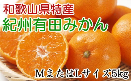 [秀品]和歌山有田みかん　5kg(MサイズまたはLサイズのいずれか) ※2024年11月中旬〜1月中旬頃順次発送予定【tec834】