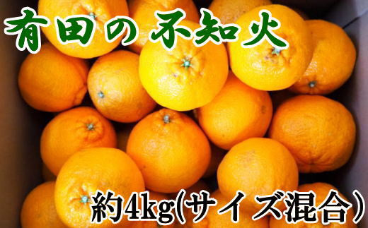 【濃厚】有田産不知火約4kg（2L〜5Lサイズ混合）※2025年2月中旬〜2025年3月上旬頃に発送予定（お届け日指定不可）【tec931】