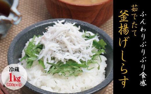 茹でたて釜揚げしらす　1kg(250g×4パック)【冷蔵】無添加・無着色 しらす シラス 釜揚げ 小分け 冷蔵【mar101】