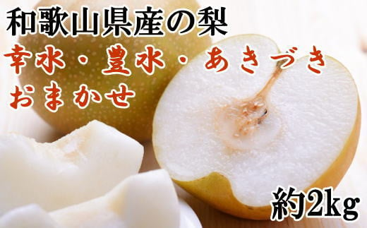[数量限定]和歌山県産の梨約2kg(品種おまかせ)【tec925】