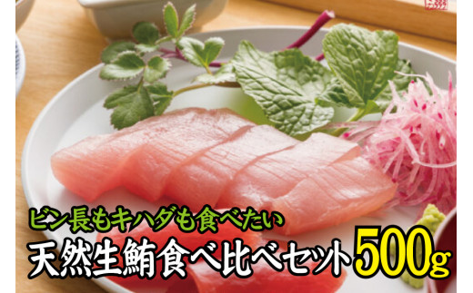 天然生まぐろ食べ比べセット 500g　キハダ（もしくはメバチ）＋びん長まぐろのセット / 生鮪 鮪 マグロ 生まぐろ キハダマグロ ビンチョウマグロ 刺身【tka019】