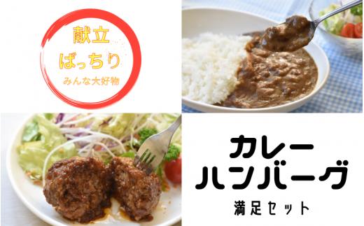 素材と手作りにこだわった 熊野牛すじ肉カレーとハンバーグセット （カレー：200g×4袋、ハンバーグ：170g×3袋) / カレー カレーライス 牛すじ おかず 惣菜 お惣菜 ハンバーグ【okd006】