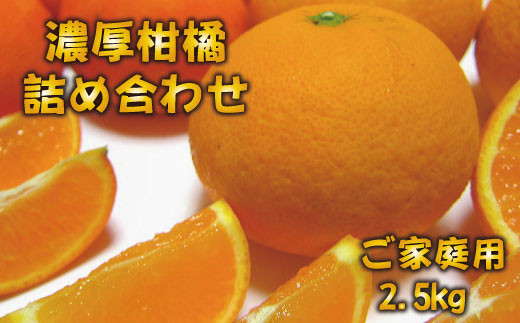 【先行予約】有田育ちの濃厚柑橘詰め合わせセット(ご家庭用)　約2.5kg【１月中旬〜4月下旬頃順次発送】【ard033A】