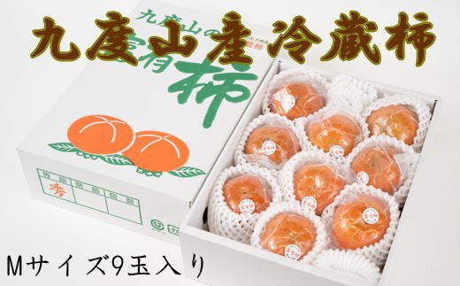 【まごころ栽培】九度山の冷蔵富有柿Mサイズ9玉入り＜2025年1月中旬〜2025年2月下旬頃に順次発送＞【tec412】