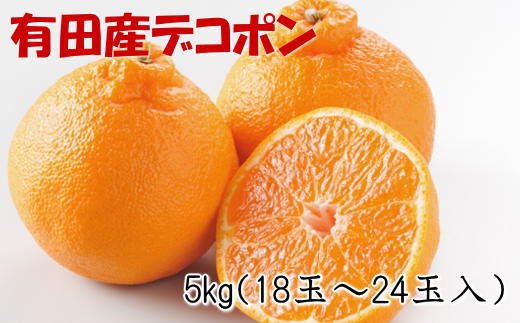 【お味濃厚】紀州有田産のデコポン約5kg(18玉〜24玉入り・青秀以上) ※2025年1月中旬〜3月中旬頃順次発送【tec810A】