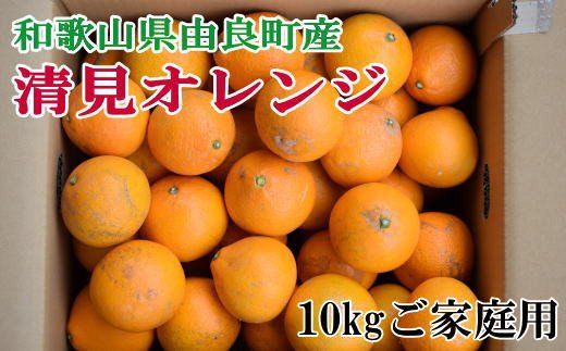 【訳あり・ご家庭用】和歌山由良町産の濃厚清見オレンジ約10kg　※2025年2月中旬〜2025年2月下旬頃（お届け日指定不可）【tec877】