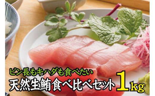 天然生まぐろ食べ比べセット 1kg　キハダ（もしくはメバチ）＋びん長まぐろのセット / 生鮪 鮪 マグロ 生まぐろ キハダマグロ ビンチョウマグロ 刺身【tka016】