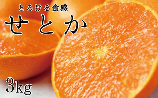 とろける食感！ジューシー柑橘 せとか 約3kg【予約】※2025年2月末頃〜3月中旬頃発送(お届け日指定不可) せとか みかん ミカン 柑橘 フルーツ 果物 くだもの【uot506】