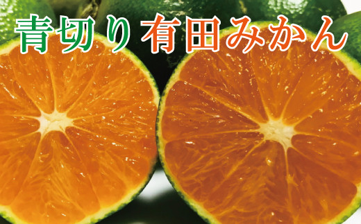 【先行予約】【2024年9月中旬〜10月中旬頃発送予定】【初秋の美味】【農家直送】厳選!濃厚青切り有田みかん　約４kg　【ard043A】